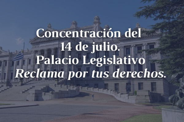 Concentración en el Palacio Legislativo este 14 de julio