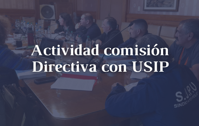 Actividad comisión Directiva con USIP